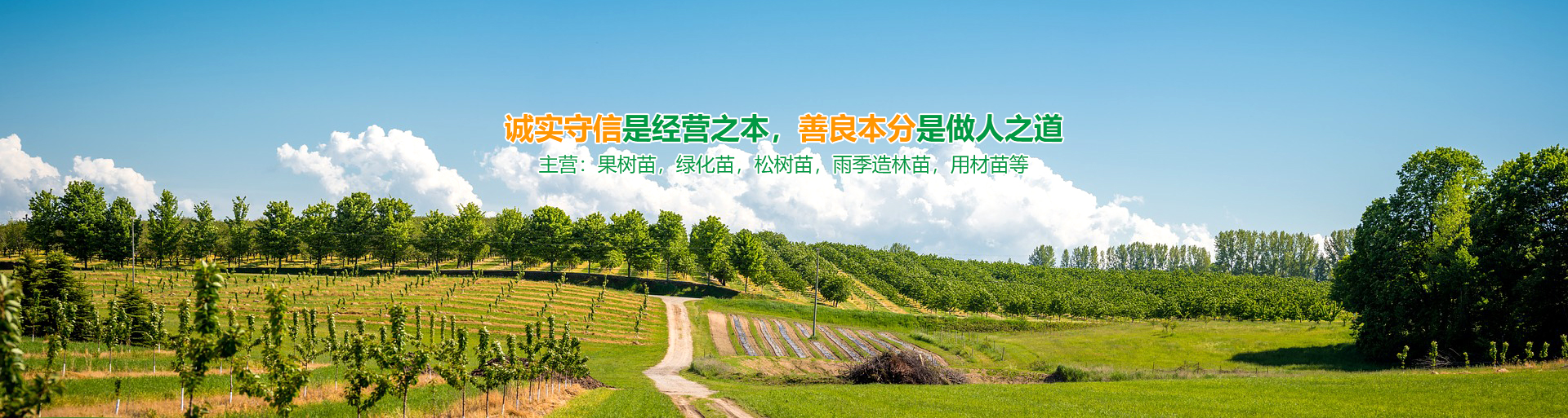 爱游戏官网礼包